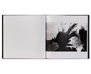 鴉 / RAVENS:深瀬昌久 | OIL - 現代アート・絵画の販売・通販 鴉 / RAVENS:深瀬昌久 | OIL - 現代アート・絵画の販売・通販